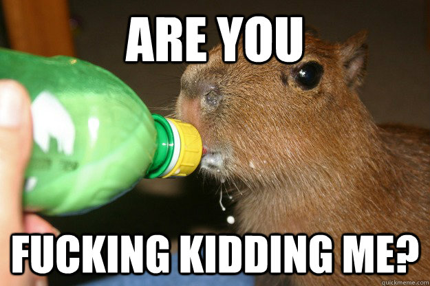 Are you Fucking kidding me?  Baby Capybara