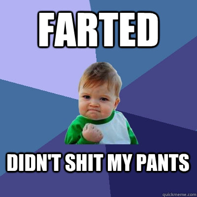 Farted didn't shit my pants   Success Kid