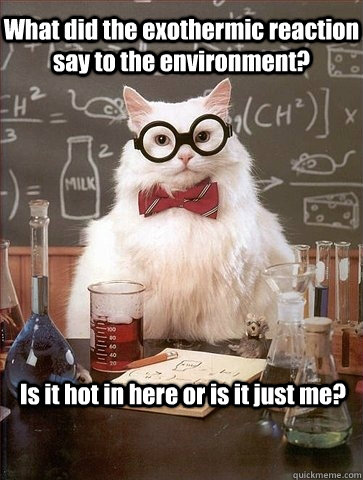 What did the exothermic reaction say to the environment? Is it hot in here or is it just me? - What did the exothermic reaction say to the environment? Is it hot in here or is it just me?  Chemistry Cat