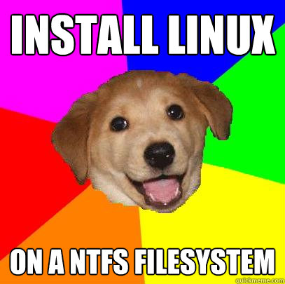 install linux on a ntfs filesystem  Advice Dog