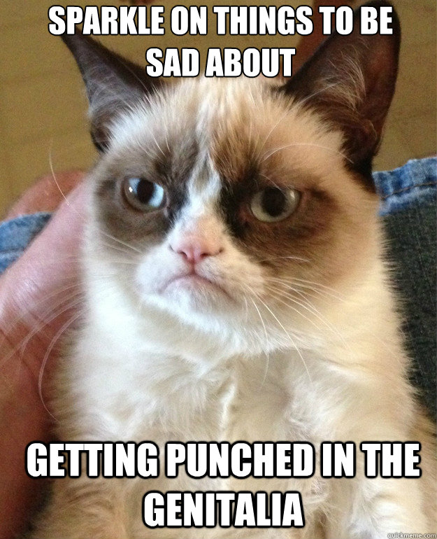 Sparkle on things to be sad about getting punched in the genitalia  Grumpy Cat