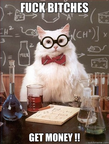 FUCK BITCHES GET MONEY !!  Chemistry Cat