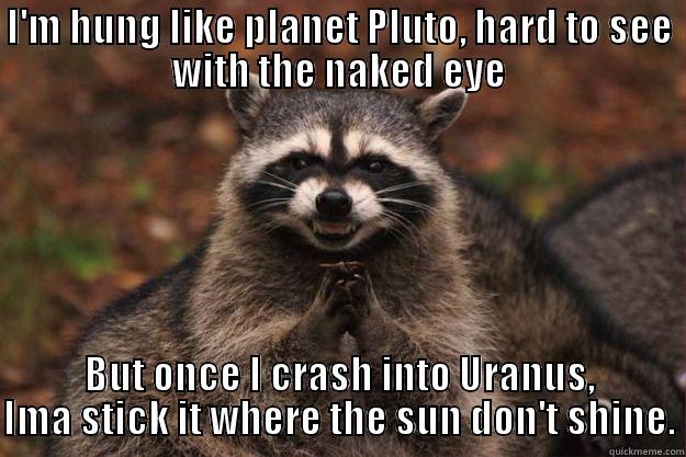 I'M HUNG LIKE PLANET PLUTO, HARD TO SEE WITH THE NAKED EYE BUT ONCE I CRASH INTO URANUS, IMA STICK IT WHERE THE SUN DON'T SHINE. Evil Plotting Raccoon