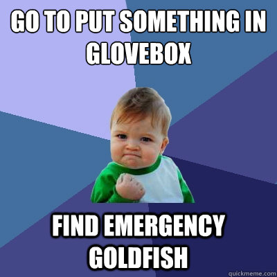 go to put something in glovebox find emergency goldfish  Success Kid