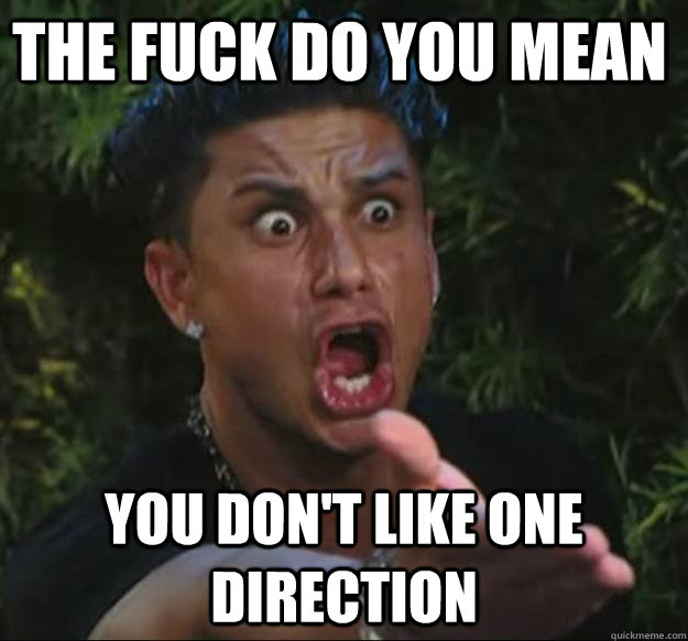 THE FUCK DO YOU MEAN YOU DON'T LIKE ONE DIRECTION  Pauly D