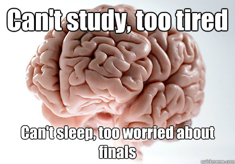 Can't study, too tired Can't sleep, too worried about finals    Scumbag Brain