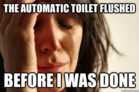 The automatic toilet flushed Before I was done  First World Problems