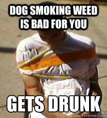 dog smoking weed is bad for you  gets drunk  - dog smoking weed is bad for you  gets drunk   Bad Friend Vaz