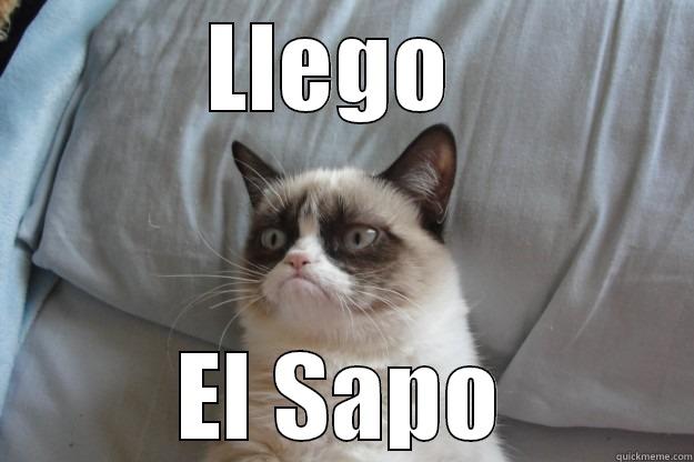 LLEGO  EL SAPO Grumpy Cat