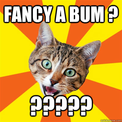 Fancy a bum ? ????? - Fancy a bum ? ?????  Bad Advice Cat