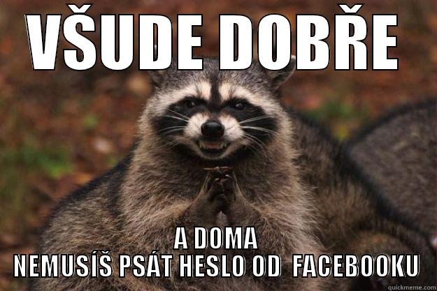 VŠUDE DOBŘE A DOMA NEMUSÍŠ PSÁT HESLO OD  FACEBOOKU Evil Plotting Raccoon