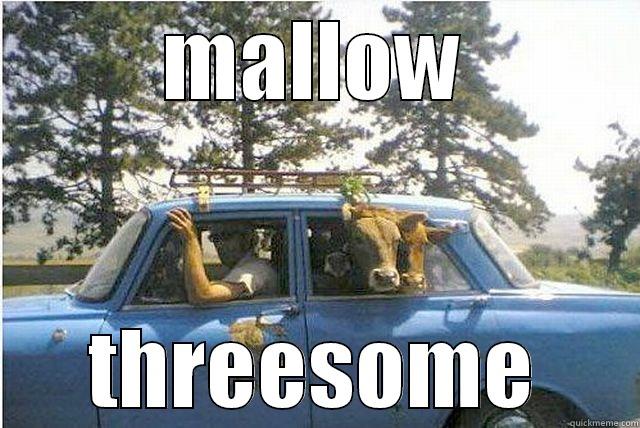 MALLOW THREESOME Misc