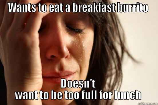 Me right now. - WANTS TO EAT A BREAKFAST BURRITO DOESN'T WANT TO BE TOO FULL FOR LUNCH First World Problems