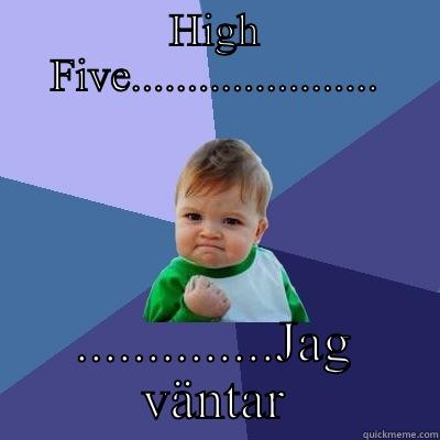 HIGH FIVE...................... ..............JAG VÄNTAR Success Kid