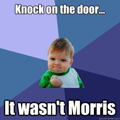 Knock on the door... It wasn't Morris  - Knock on the door... It wasn't Morris   Success Kid