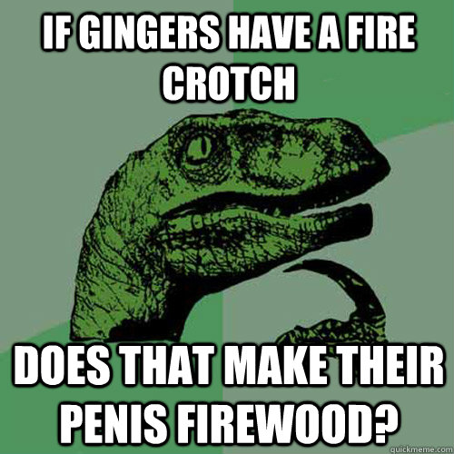 If gingers have a fire crotch does that make their penis firewood? - If gingers have a fire crotch does that make their penis firewood?  Philosoraptor