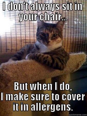 I DON'T ALWAYS SIT IN YOUR CHAIR... BUT WHEN I DO, I MAKE SURE TO COVER IT IN ALLERGENS. The Most Interesting Cat in the World