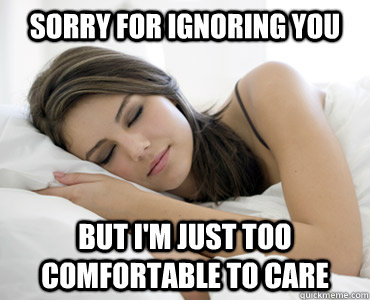 sorry for ignoring you but i'm just too comfortable to care - sorry for ignoring you but i'm just too comfortable to care  Sleep Meme