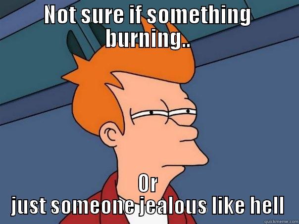 Jealous Much - NOT SURE IF SOMETHING BURNING.. OR JUST SOMEONE JEALOUS LIKE HELL Futurama Fry