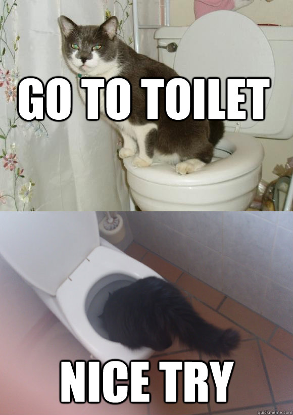 go to toilet nice try - go to toilet nice try  Misc