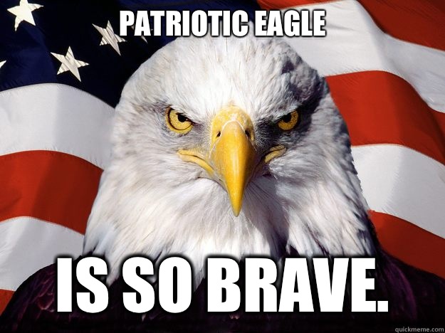 Patriotic Eagle Is so brave.   Patriotic Eagle