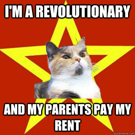 i'm a revolutionary And my parents pay my rent  Lenin Cat