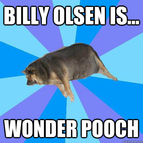 Billy olsen is... wonder pooch  Lazy college student