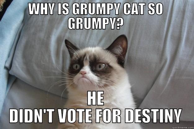 WHY IS GRUMPY CAT SO GRUMPY? HE DIDN'T VOTE FOR DESTINY Grumpy Cat