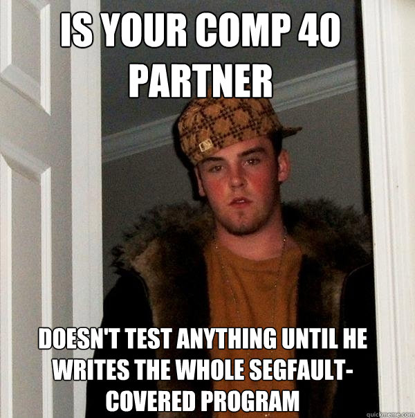 is your comp 40 partner doesn't test anything until he writes the whole segfault-covered program - is your comp 40 partner doesn't test anything until he writes the whole segfault-covered program  Scumbag Steve