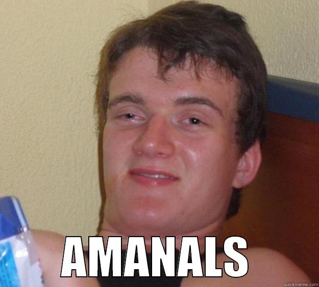 Martin - Animals -  AMANALS 10 Guy