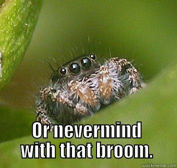 Hey Nikki! I made a web saying Happy Birthday! -  OR NEVERMIND WITH THAT BROOM. Misunderstood Spider