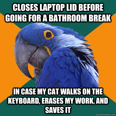 Closes laptop lid before going for a bathroom break In case my cat walks on the keyboard, erases my work, and saves it  Paranoid Parrot