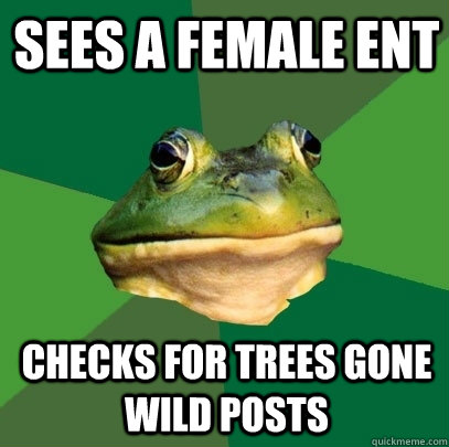 Sees a female ent Checks for trees gone wild posts - Sees a female ent Checks for trees gone wild posts  Foul Bachelor Frog