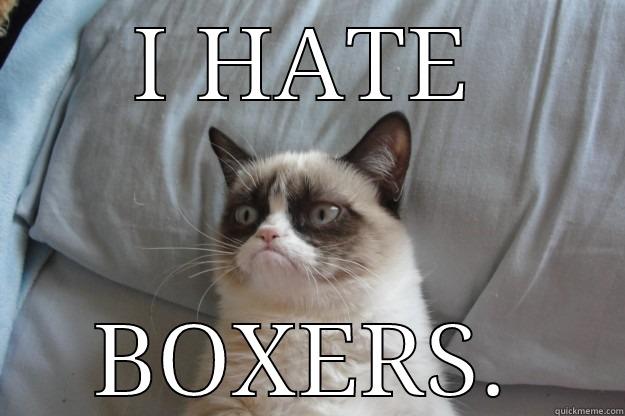 I HATE BOXERS. Grumpy Cat