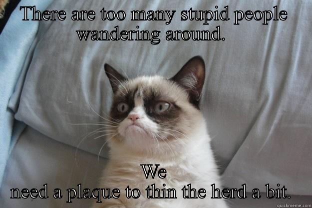 THERE ARE TOO MANY STUPID PEOPLE WANDERING AROUND.  WE NEED A PLAQUE TO THIN THE HERD A BIT.  Grumpy Cat