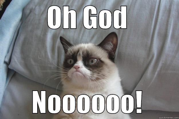 OH GOD NOOOOOO! Grumpy Cat