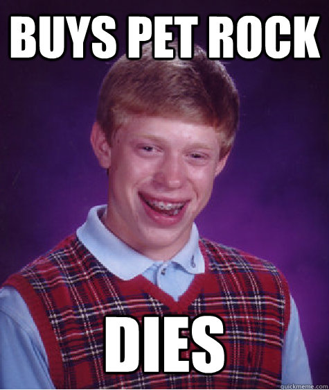 Buys Pet rock dies  Bad Luck Brian