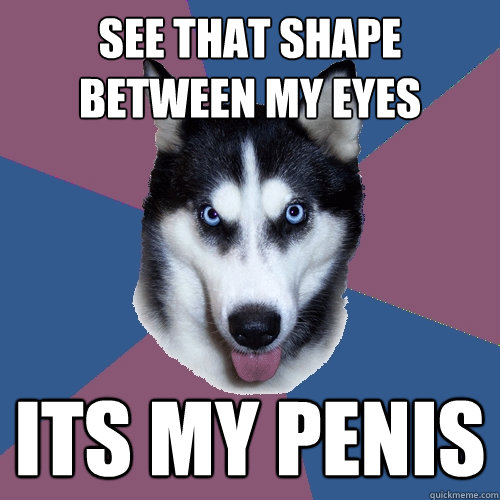 See that shape between my eyes Its my penis  Creeper Canine