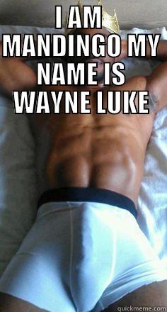 I AM  MANDINGO MY NAME IS WAYNE LUKE  Misc