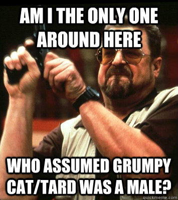 AM I THE ONLY ONE AROUND HERE  who assumed grumpy cat/tard was a male? - AM I THE ONLY ONE AROUND HERE  who assumed grumpy cat/tard was a male?  Misc