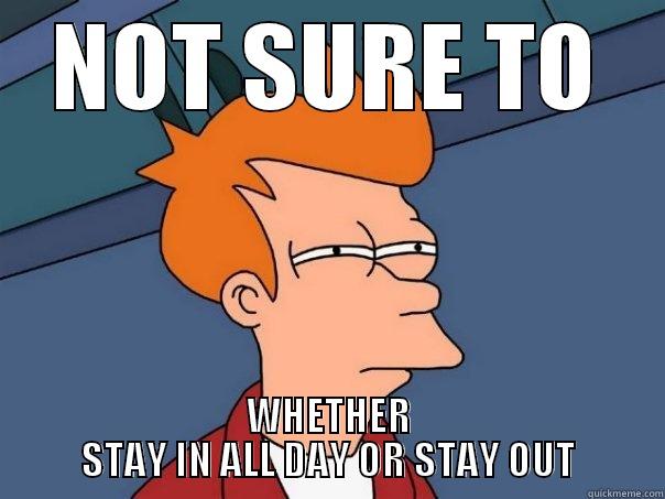 NOT SURE TO WHETHER STAY IN ALL DAY OR STAY OUT Futurama Fry