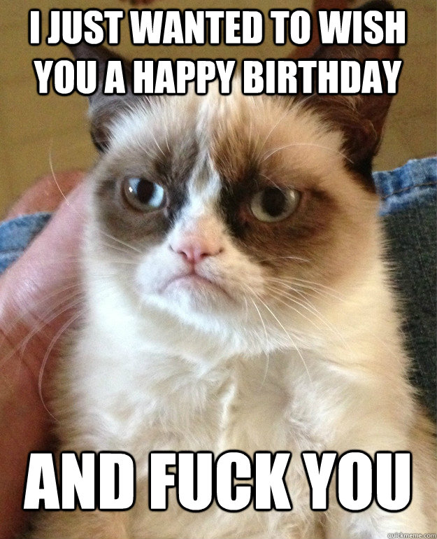 I just wanted to wish you a happy birthday and fuck you  Grumpy Cat