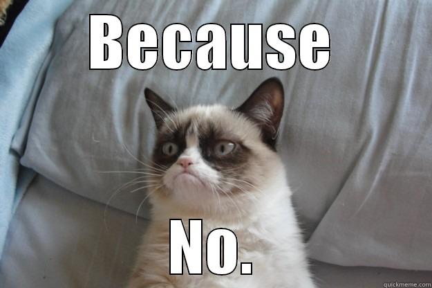 because grumpy - BECAUSE NO. Grumpy Cat