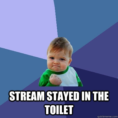  Stream stayed in the toilet  Success Kid