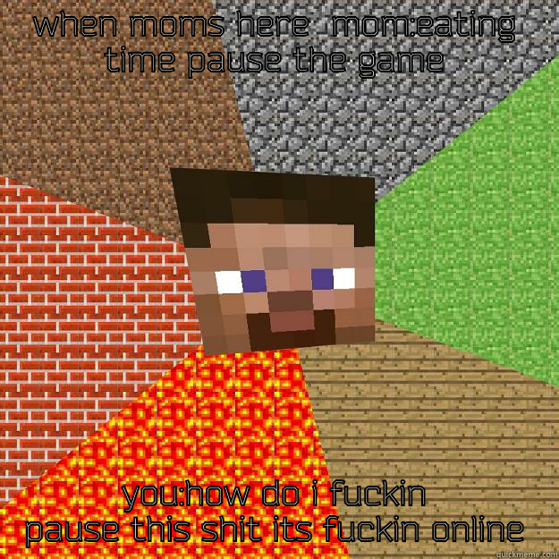 WHEN MOMS HERE  MOM:EATING TIME PAUSE THE GAME YOU:HOW DO I FUCKIN PAUSE THIS SHIT ITS FUCKIN ONLINE Minecraft