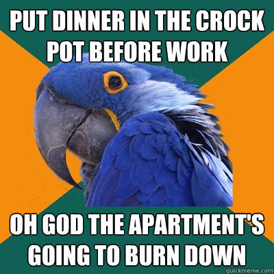 Put dinner in the crock pot before work Oh god the apartment's going to burn down - Put dinner in the crock pot before work Oh god the apartment's going to burn down  Paranoid Parrot