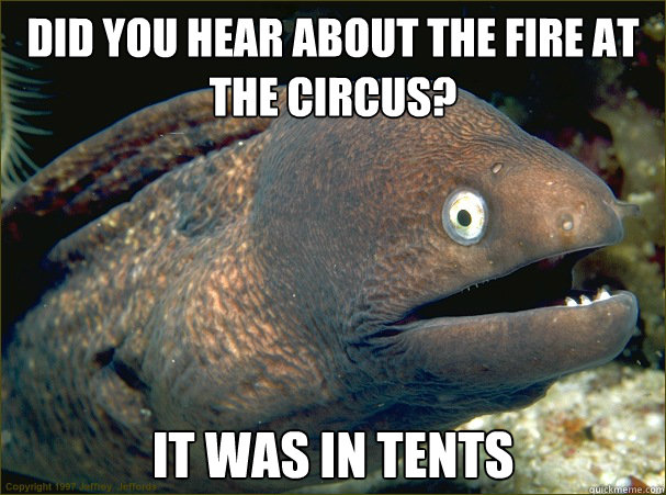 Did you hear about the fire at the circus? It was in tents  Bad Joke Eel