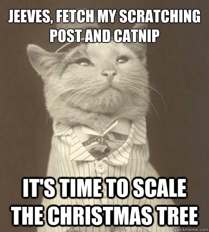 Jeeves, fetch my scratching post and catnip  it's time to scale the christmas tree  Aristocat