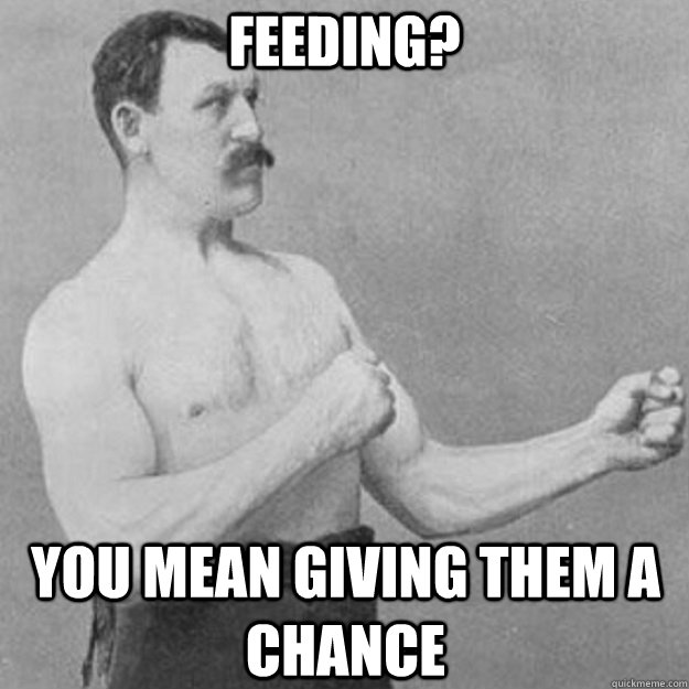 Feeding? you mean giving them a chance  overly manly man