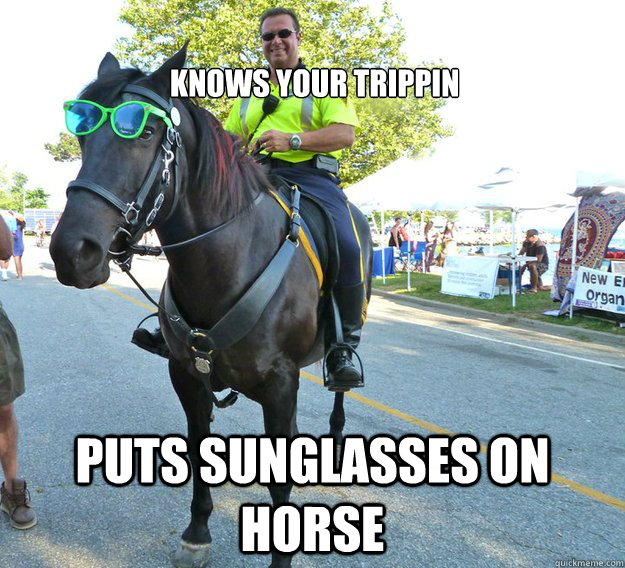 Knows your trippin puts sunglasses on horse  